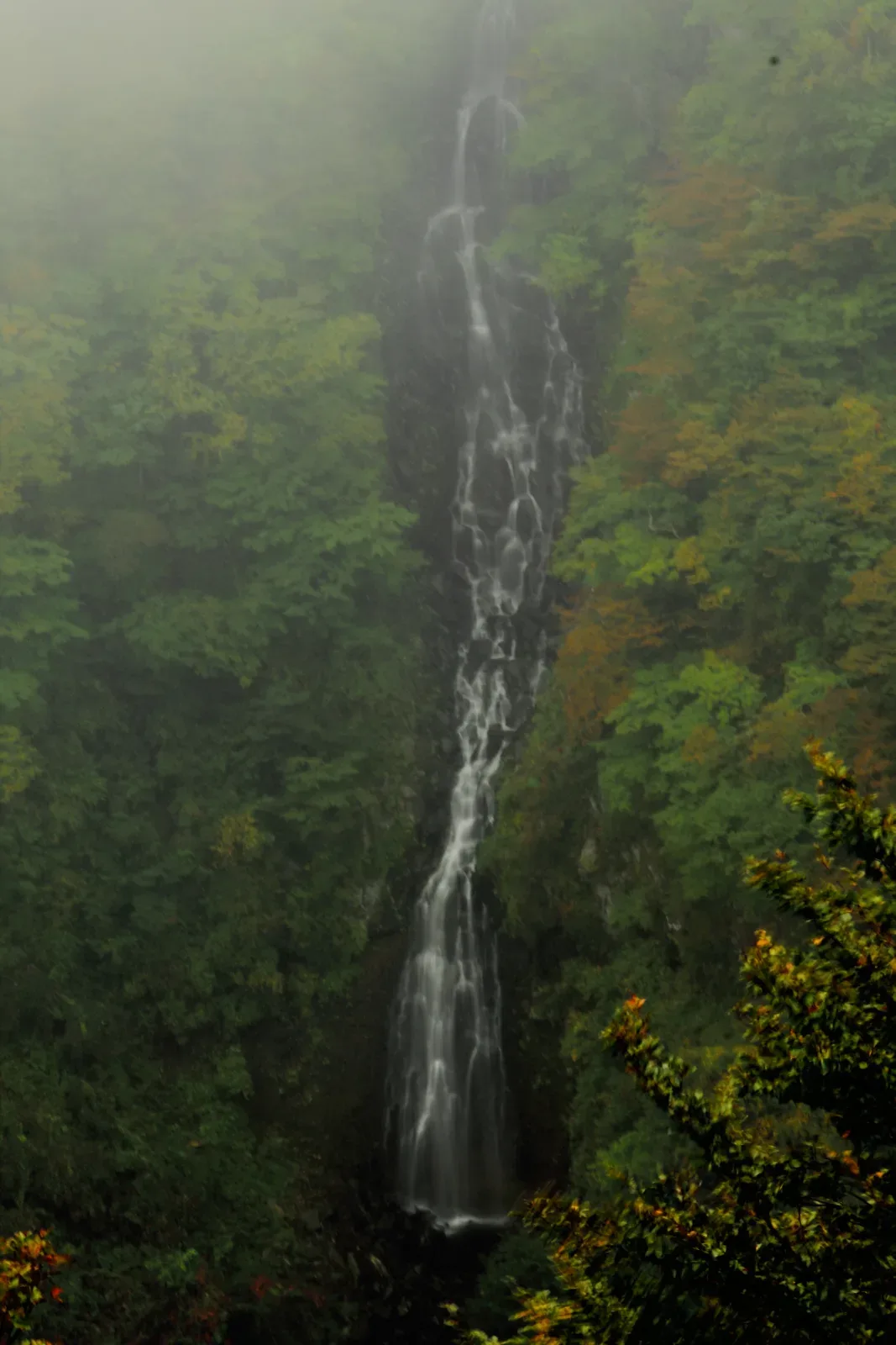 2014年10月撮影。