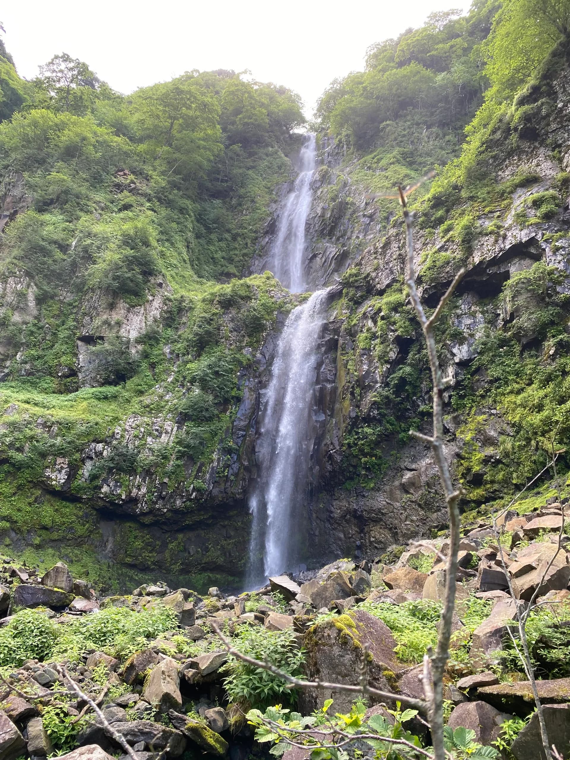 撮影日:2022年7月30日