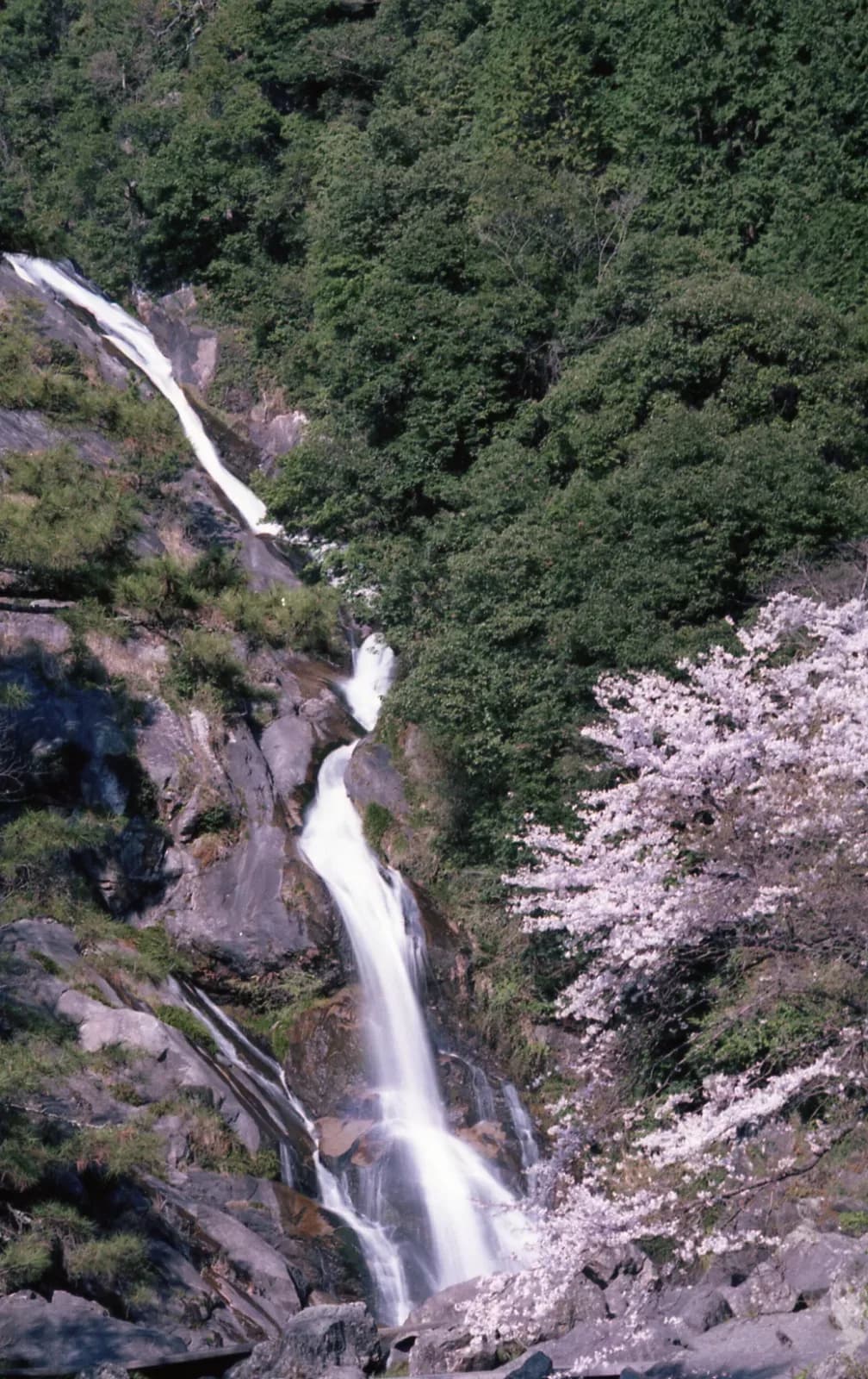 2004年3月撮影。
