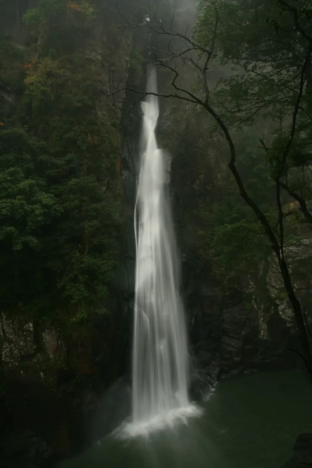 2012年10月撮影。