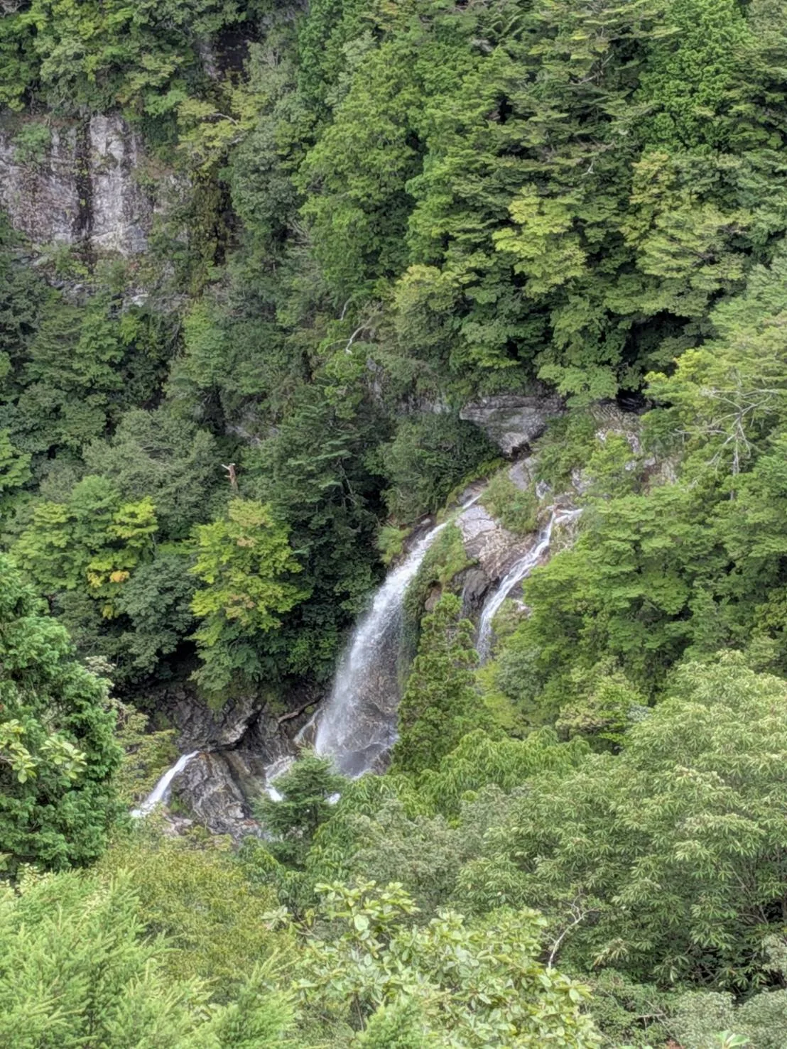 東滝(程野滝)の投稿画像