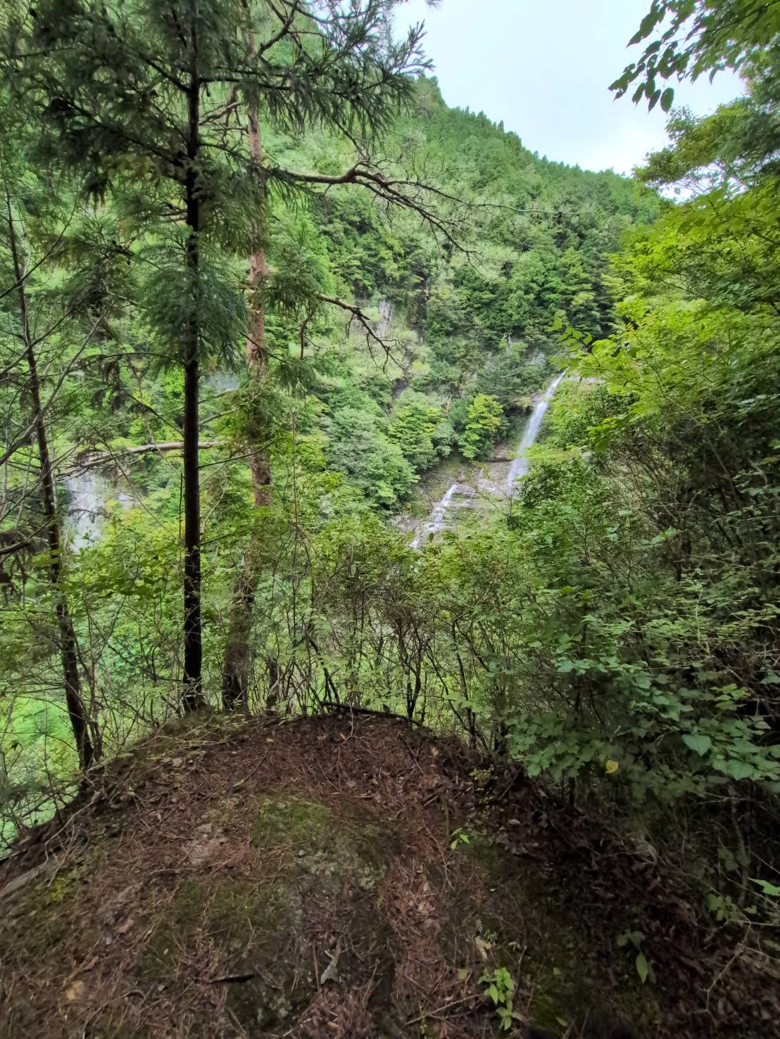 東滝(程野滝)の投稿画像