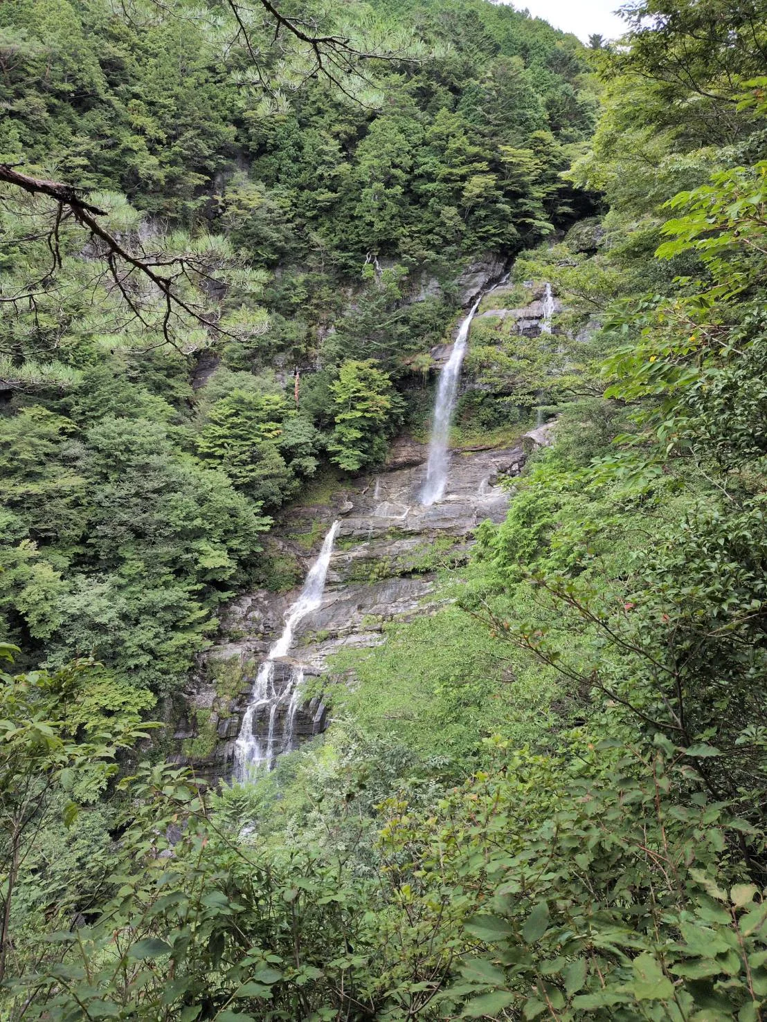 東滝(程野滝)の投稿画像