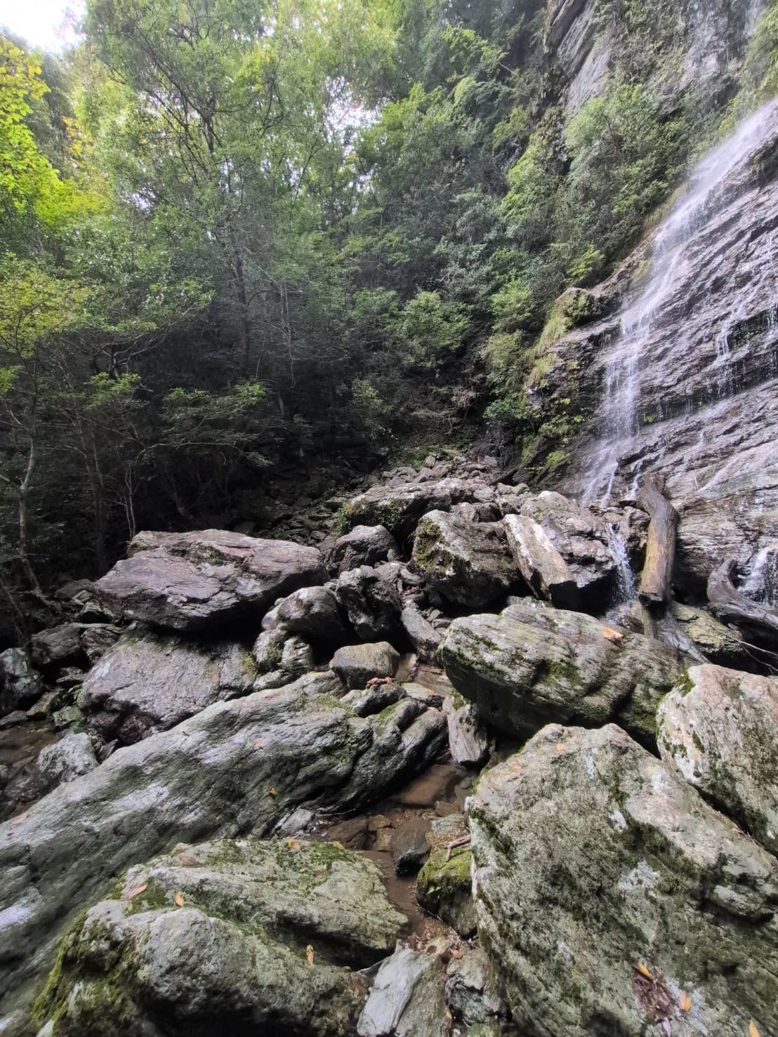 権現滝(程野滝)の投稿画像