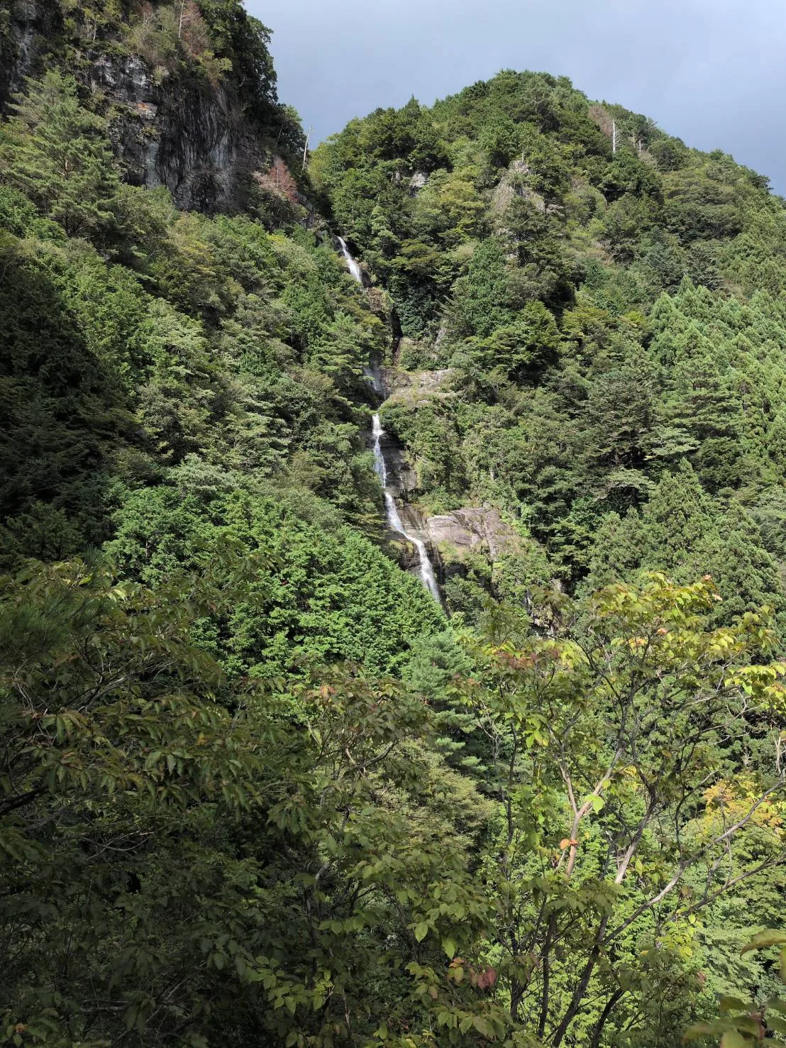 西滝(程野滝)の投稿画像
