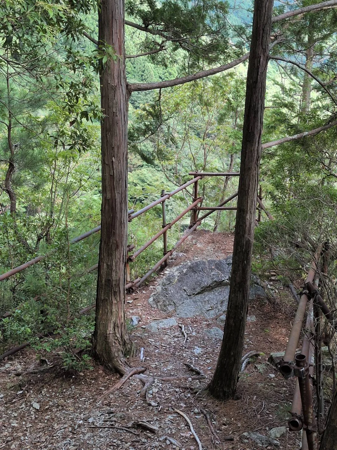西滝(程野滝)の投稿画像