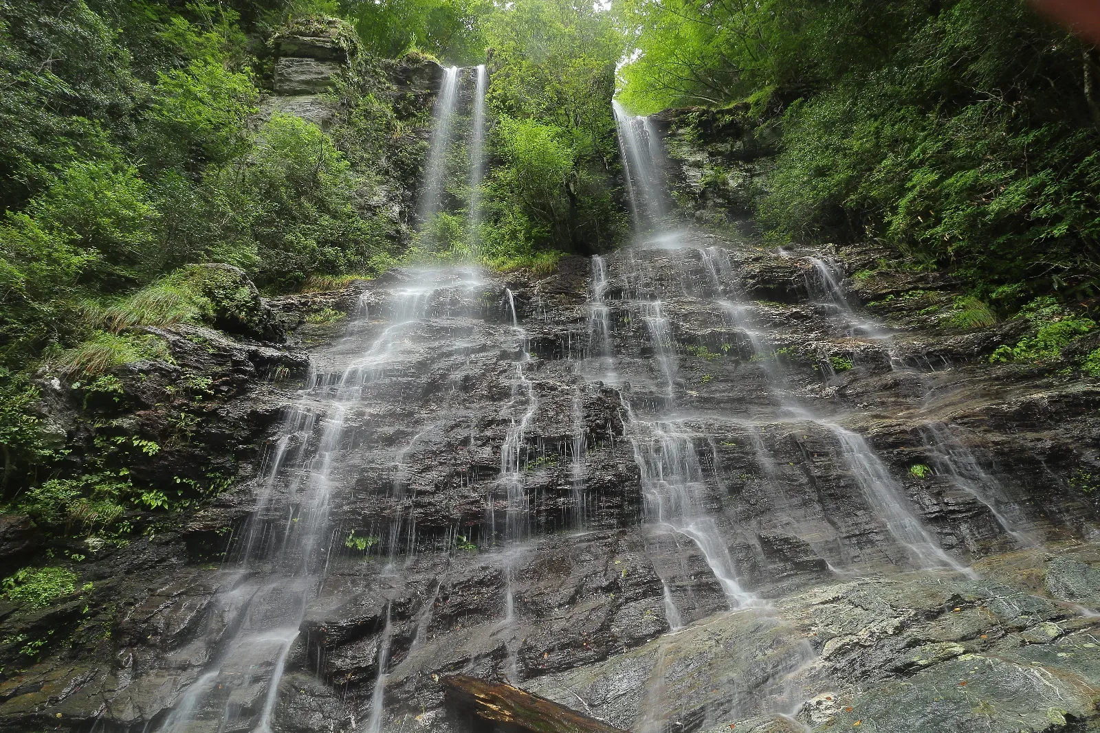権現滝（程野滝）