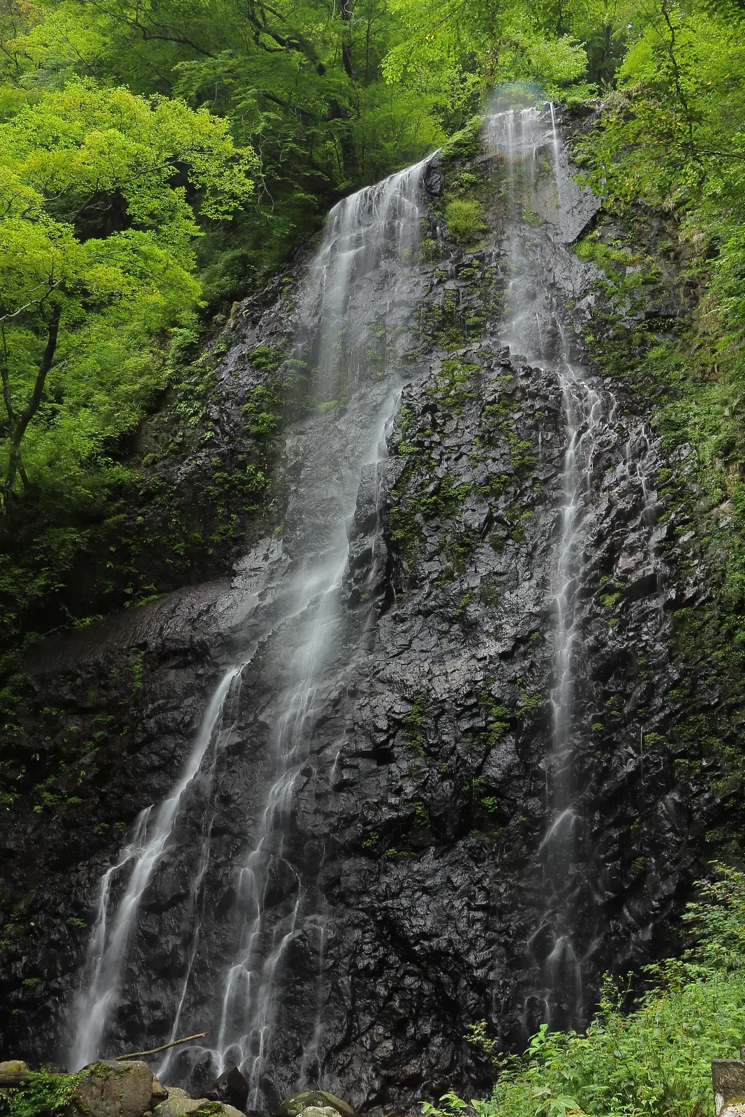 白猪の滝
