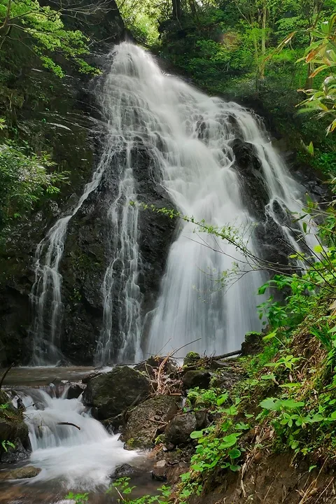味土野ガラシャ大滝