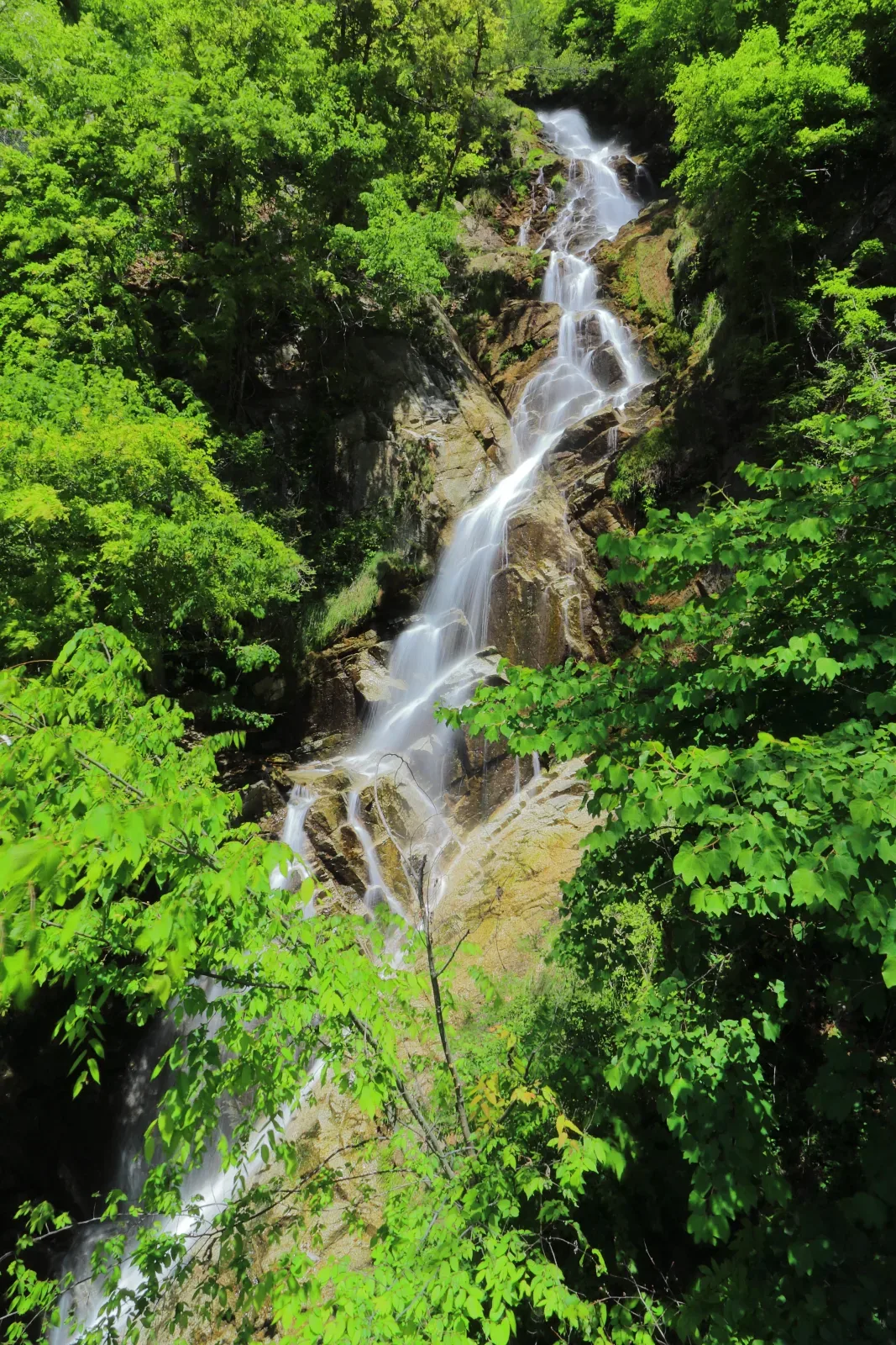 井戸入沢の滝