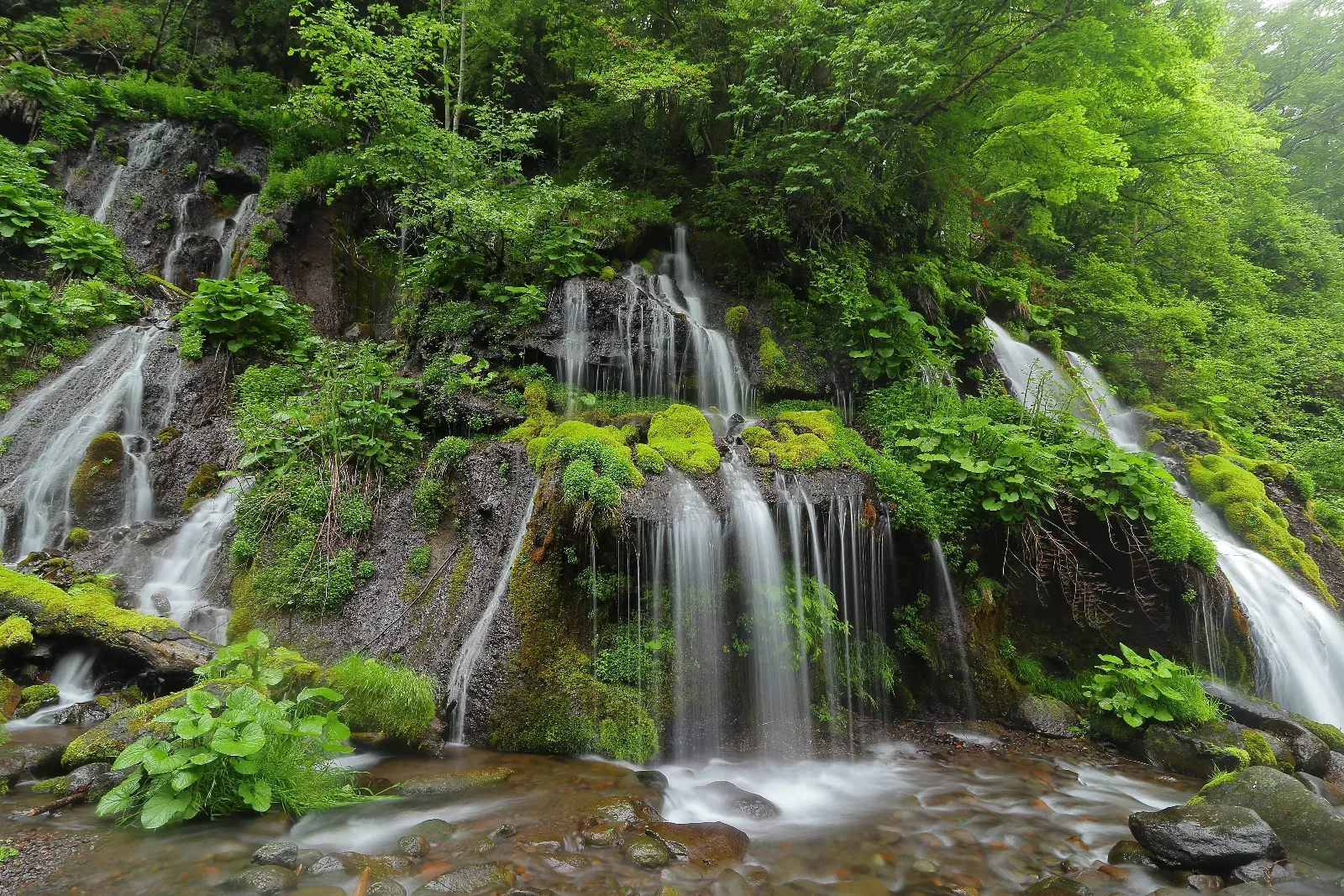 吐竜の滝(川俣渓谷)
